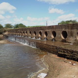 adriano silva bezerra