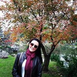 DAIANA PEREIRA ASSIS FORNAZIER