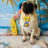 Gisele de Fontes Tanaka