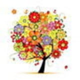 Ir para o perfil do usuário