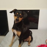 Washington Luiz Tomaz