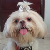 Gislaine de Carvalho