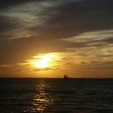 Adriana da Silva Zeffa