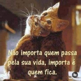 Ana Carolina Pacífico Menezes