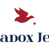 Paradox Jeans