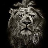 Aline Da Silva Linhares