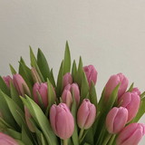 Alessandra Morais Oliveira