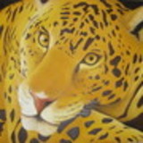 excluido_Projeto Art