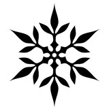 JOAO VICTOR FAVA RAULINO