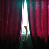 Elise Milani Martin Rubio