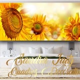 Quadros Decorativos Sandra Laitz