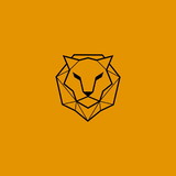 Descomplica Meu Feed