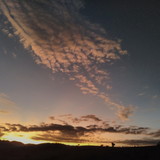 Laryssa Melo dos Santos