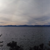 Carolina Ribeiro Oliveira