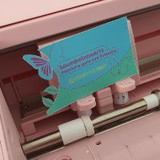 poliana peixoto hoffmann