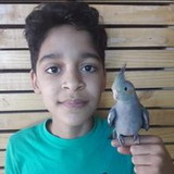 Gabriel Fernandes Alves Fernandes Alves