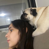 Guilherme Henrique Alves