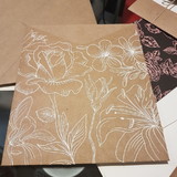 scheila ribeiro de abreu e silva