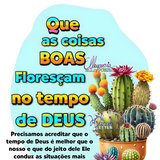 Maria Eduarda Timóteo de marques