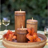 Luciana Ferreira Carvalho Koga