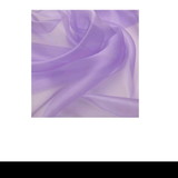 Vanessa Regina Bonifacio dos Santos