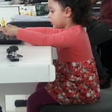 Erly Batista Pereira