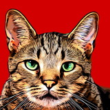 Igor Magalhães Pimenta