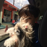 Camila Ladário da Silva <Lobo