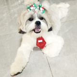 Carla Fernanda de Barros Sousa