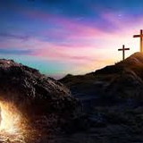 Thaís Ferreira Lima