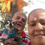 Antônio Carlos Vigas Vogas