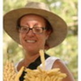 Andréa de Moraes Ferreira da Silva