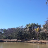 Letícia Feitosa Castro