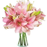 Beatriz Botti de Cunto