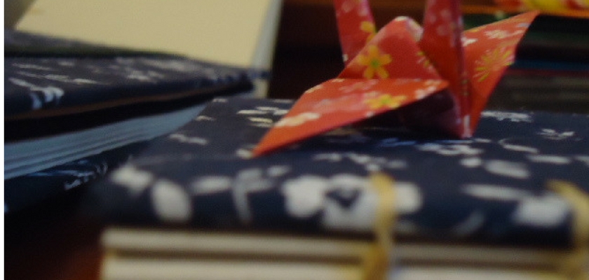 excluido_Olivia Zambone