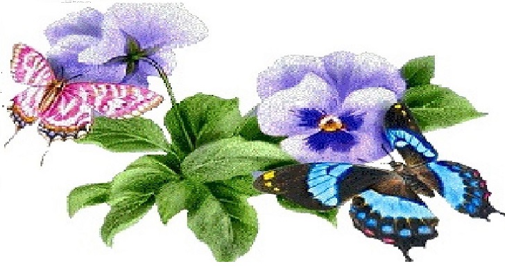 MARIA APARECIDA DA MATTA MOREIRA