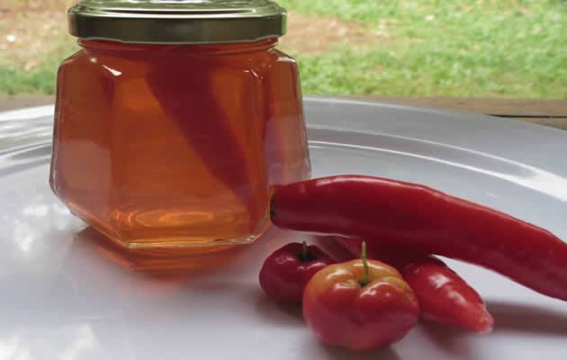 Adaline Schenckel Schirach