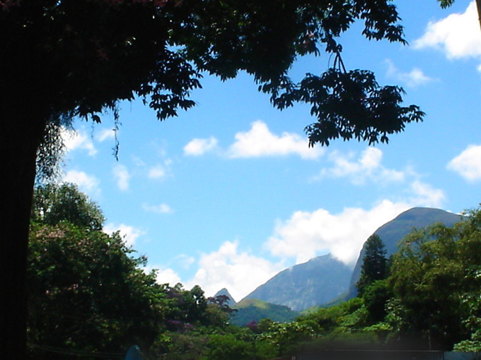 Walfrida Verch Raffagnato