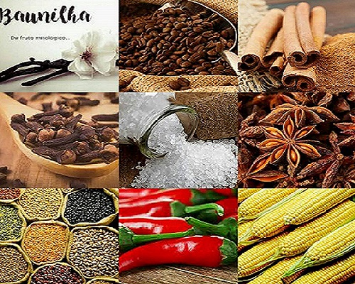 ff Arteria - Arte e Decoração