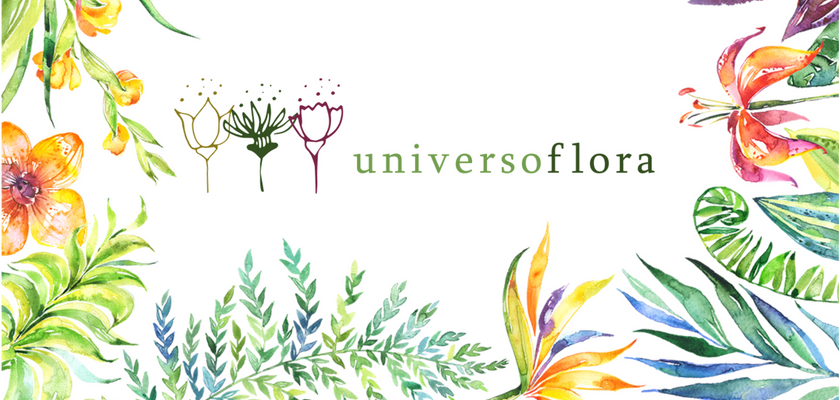 UNIVERSO FLORA