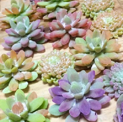 A Casa do Sabonete/Bianca