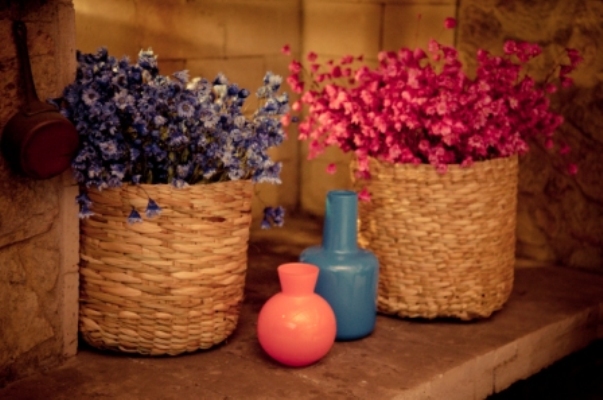 Ateliê Aquário de minhocas