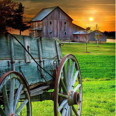 Beto José Roberto Flegler