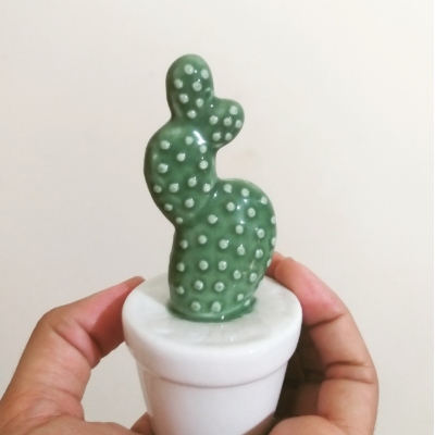 cactus  macramê