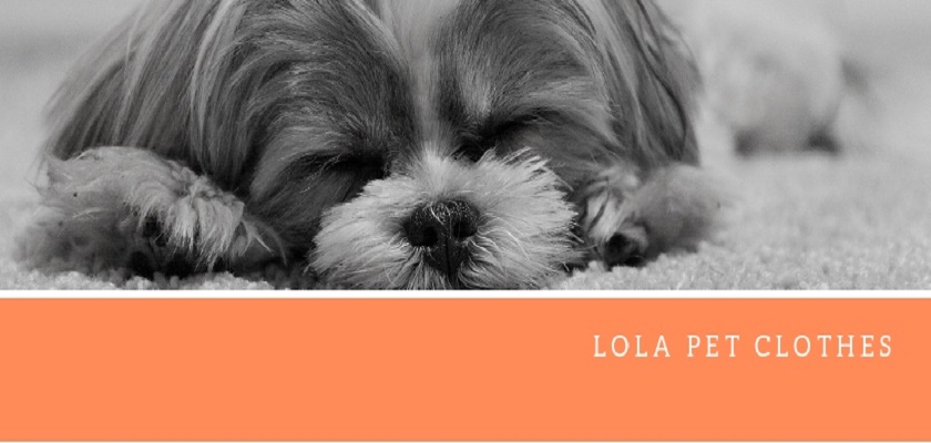 Lola pet clothes