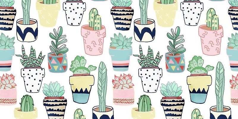 excluido_Artes em E.V.A. 