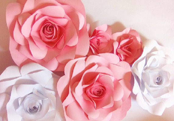 Confecção Decorar oficial