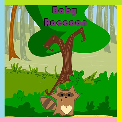 Baby Raccoon