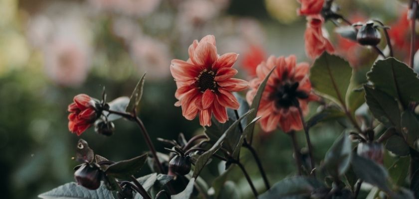 Ateliê Débora Lopes
