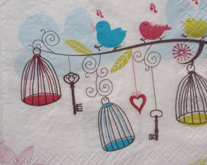 Papel Decoupagem Gaiolas